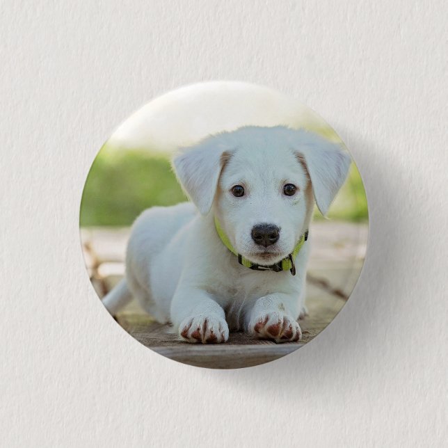 Badge Rond 2,50 Cm Photo personnalisée pour animal de compagnie (Devant)