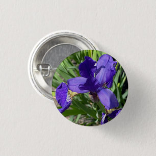 Badge Rond 2,50 Cm Photographie de fleur d'iris violet Épingler