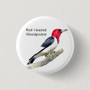 Badge Rond 2,50 Cm Pic à tête rouge