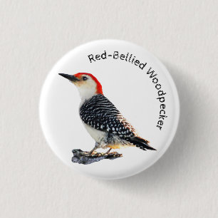 Badge Rond 2,50 Cm Pic à ventre rouge