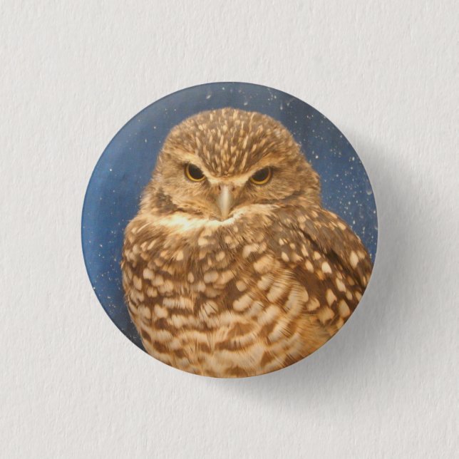 Badge Rond 2,50 Cm Pin de hibou (Devant)