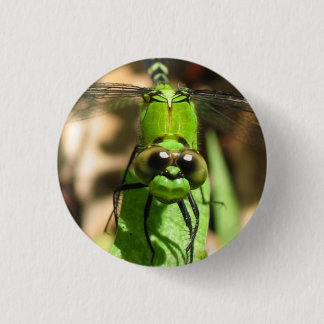 Badge Rond 2,50 Cm Pin d'Eco "de dragon vert"
