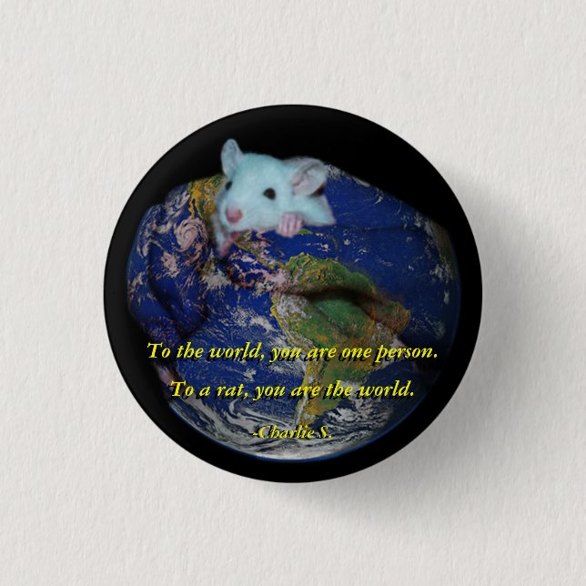 Badge Rond 2,50 Cm Pin : Rat du monde (Devant)