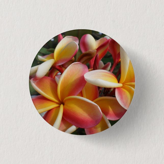 Badge Rond 2,50 Cm plumeria (Devant)