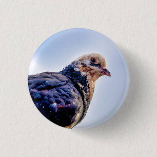 Badge Rond 2,50 Cm Portrait de Pigeon