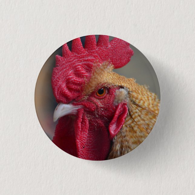 Badge Rond 2,50 Cm Poulet de coq (Devant)