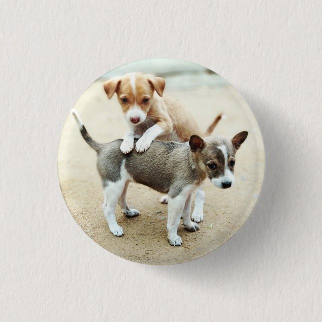 Badge Rond 2,50 Cm Puppies mignonnes jouer sur la plage (Devant)