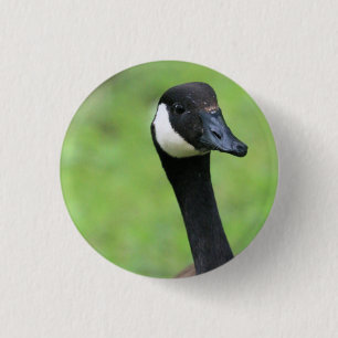 Badge Rond 2,50 Cm Quoi ?
