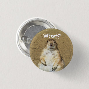 Badge Rond 2,50 Cm "Quoi ?" Bouton Chien des Prairies