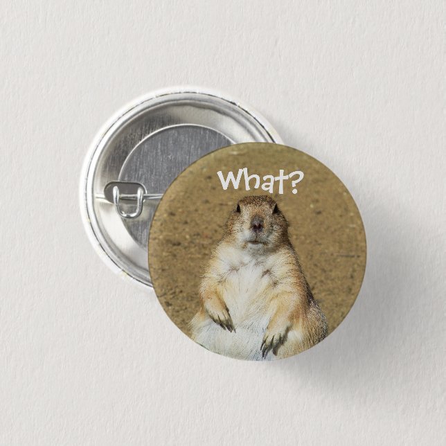 Badge Rond 2,50 Cm "Quoi ?" Bouton Chien des Prairies (Devant & derrière)