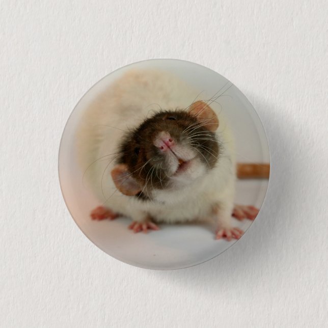 Badge Rond 2,50 Cm Rat noir dumbo (Devant)