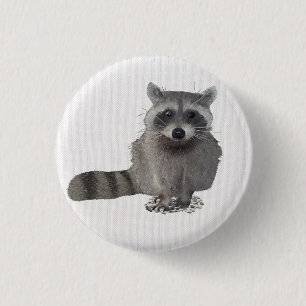 Badge Rond 2,50 Cm Raton laveur