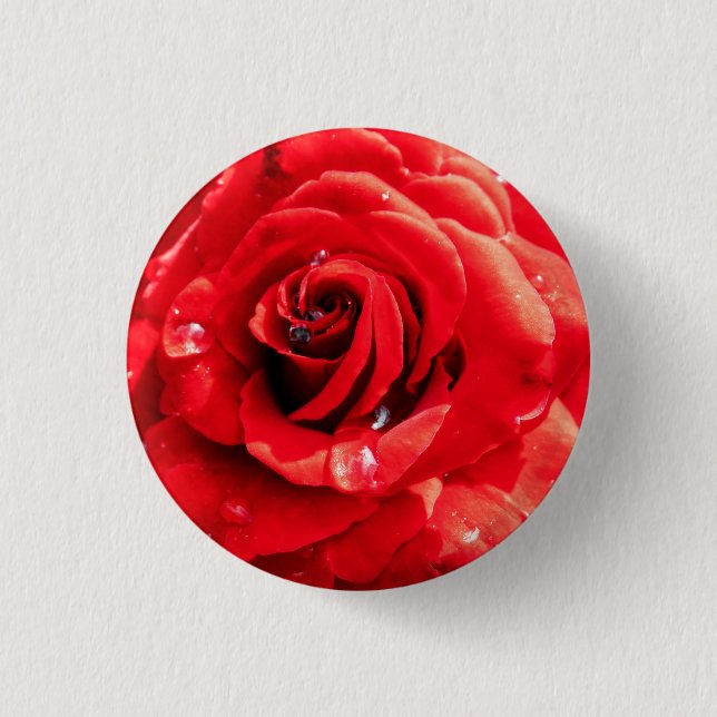 Badge Rond 2,50 Cm Red rose flower (Devant)