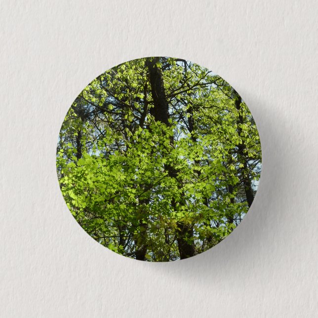 Badge Rond 2,50 Cm Ressource Feuille (Devant)