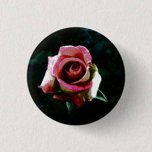Badge Rond 2,50 Cm Rose rouge peinte à l'huile