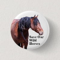 Sauvez nos chevaux sauvages