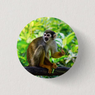 Badge Rond 2,50 Cm Singe-écureuil mignon