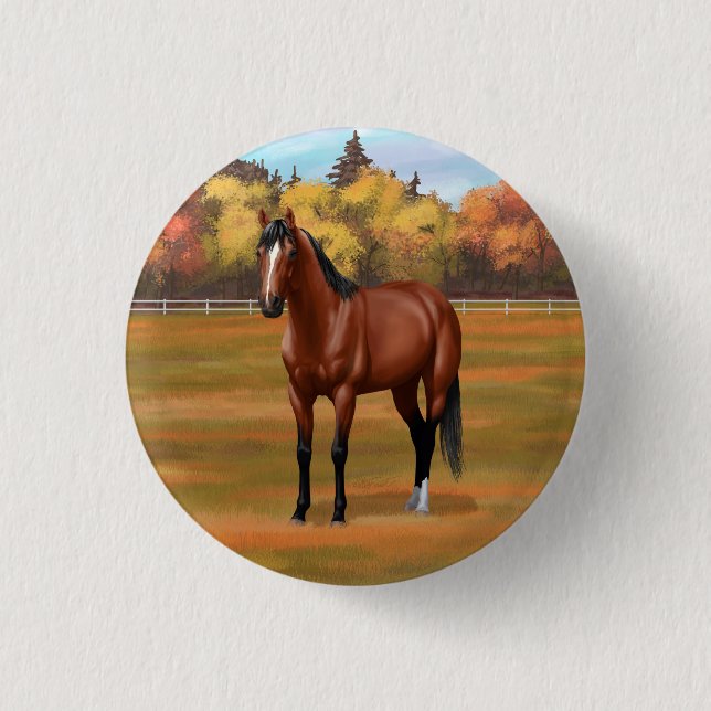 Badge Rond 2,50 Cm Stallion Cheval du Quartier Brown Bay (Devant)
