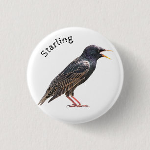 Badge Rond 2,50 Cm Starling