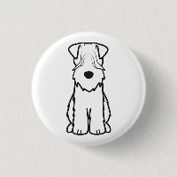 Terrier blond comme les blés doucement enduit