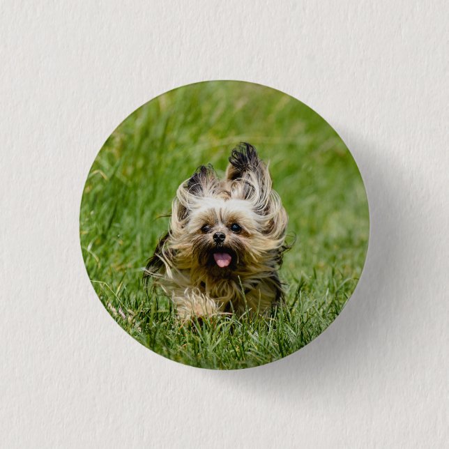 Badge Rond 2,50 Cm Terrier Yorkshire mignon Traversant L'Herbe (Devant)