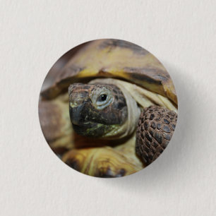 Badge Rond 2,50 Cm Tibbs