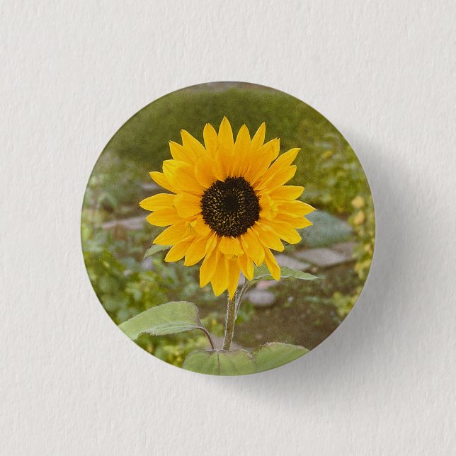 Badge Rond 2,50 Cm Tournesol (Devant)