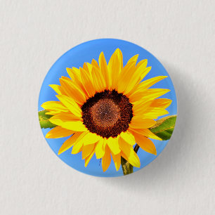 Badge Rond 2,50 Cm Tournesol jaune sur le bouton Ciel bleu