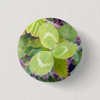 Trèfle 1