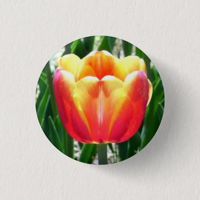 Badge Rond 2,50 Cm Tulip (Devant)