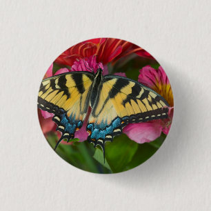 Badge Rond 2,50 Cm Un papillon swallowtail tigré
