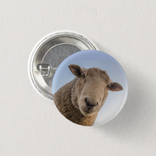 Badge Rond 2,50 Cm Vue rapprochée vers le bas