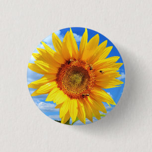 Badge Rond 2,50 Cm Yellow Sunflower and Bees on Blue Sky Button