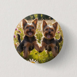 Badge Rond 2,50 Cm Yorkshire Terriers Jouer dans l'herbe
