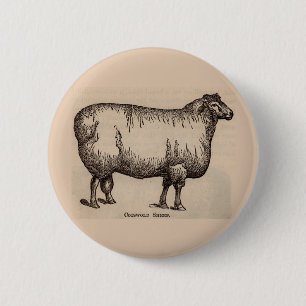 Badge Rond 5 Cm 19e century print cotswold sheep