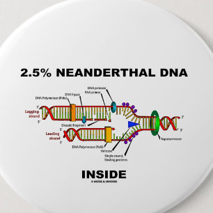 Badge Rond 5 Cm 2,5 % d'ADN néandertal à l'intérieur (réplication