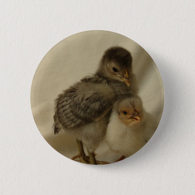 Badge Rond 5 Cm 2 poulets bleus/gris (Devant)