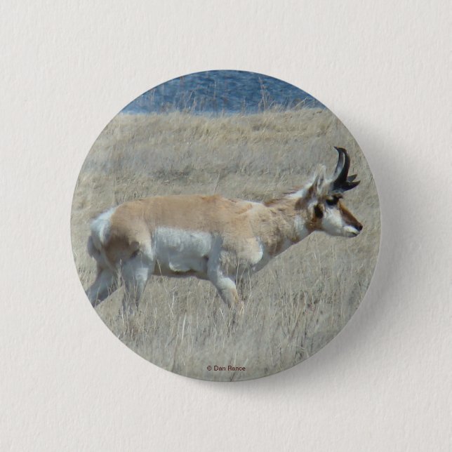 Badge Rond 5 Cm A25 Pronghorn Antelope (Devant)