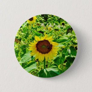 Badge Rond 5 Cm Abeille sur tournesol jaune
