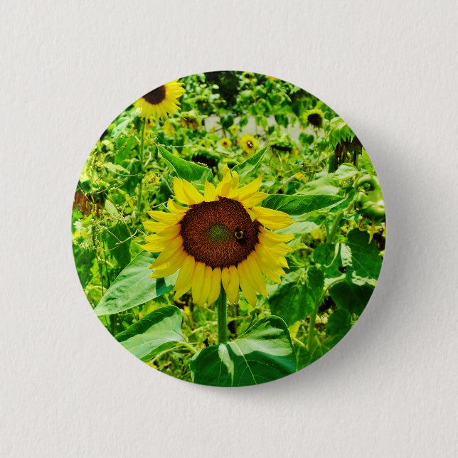 Badge Rond 5 Cm Abeille sur tournesol jaune (Devant)