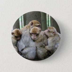 Badge Rond 5 Cm Accrochage du groupe Ape
