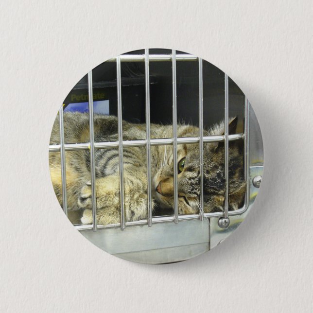 Badge Rond 5 Cm Adoptez un bouton 001 de chat (Devant)