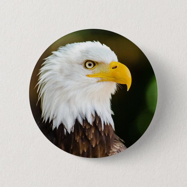 Badge Rond 5 Cm Adulte Patriotique Adulte (Devant)