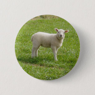 Badge Rond 5 Cm Agneau