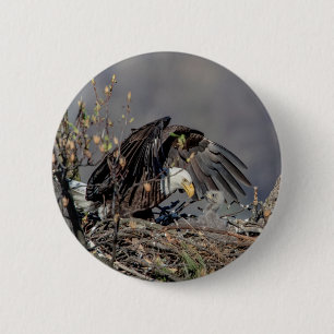 Badge Rond 5 Cm Aigle avec son bébé