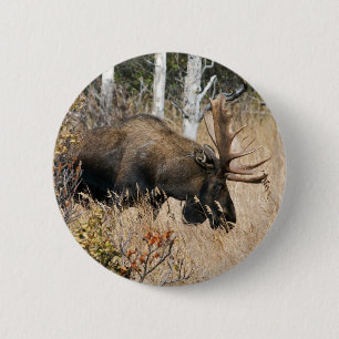 Badge Rond 5 Cm Aiguille