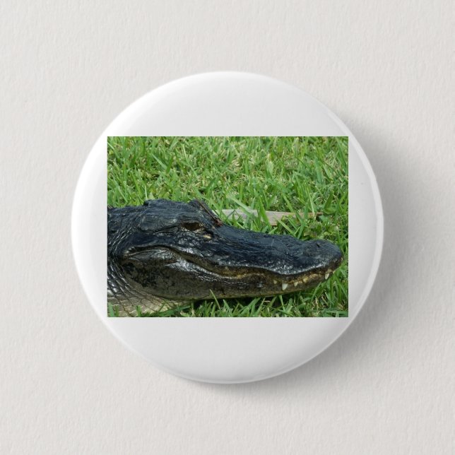 Badge Rond 5 Cm Alligator dans l'herbe (Devant)