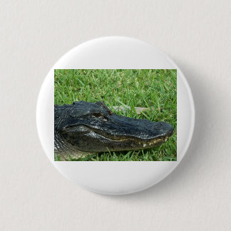 Badge Rond 5 Cm Alligator dans l'herbe