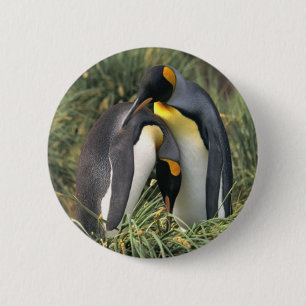 Badge Rond 5 Cm Amants de pingouins de roi