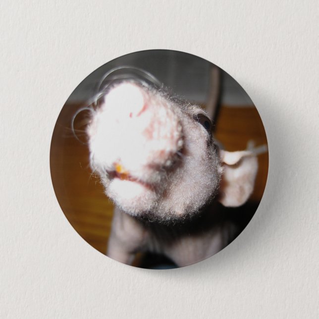Badge Rond 5 Cm Amour chauve de rat (Devant)